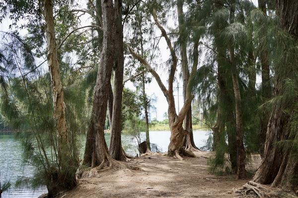 Wolf Lake Park