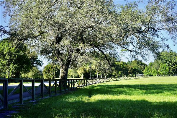 Robbins Open Space Preserve