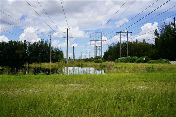 Wolf Lake Park