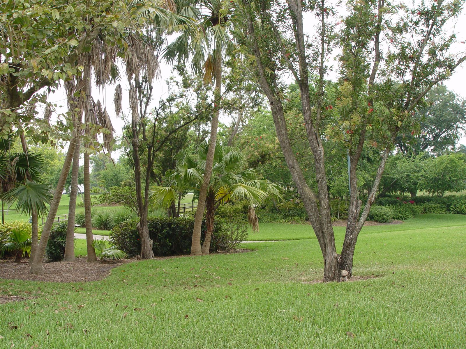 Locations Hub - Peace Mound Park