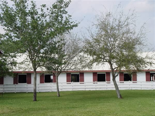 Tradewinds Stables At Tradewinds Park