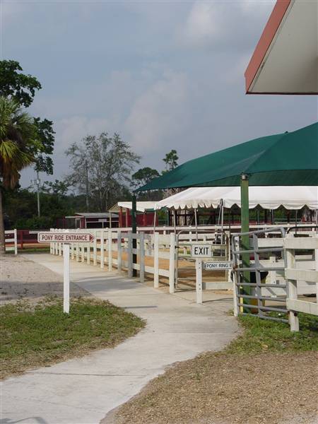 Tradewinds Stables At Tradewinds Park