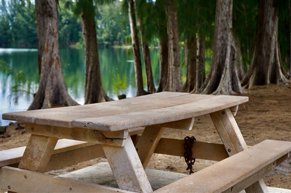 Wolf Lake Park
