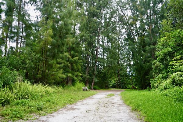 Wolf Lake Park