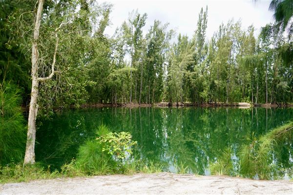 Wolf Lake Park