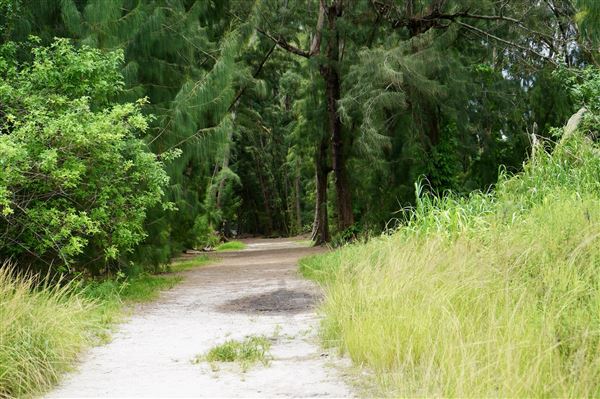 Wolf Lake Park