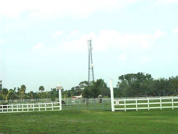 Tradewinds Stables At Tradewinds Park