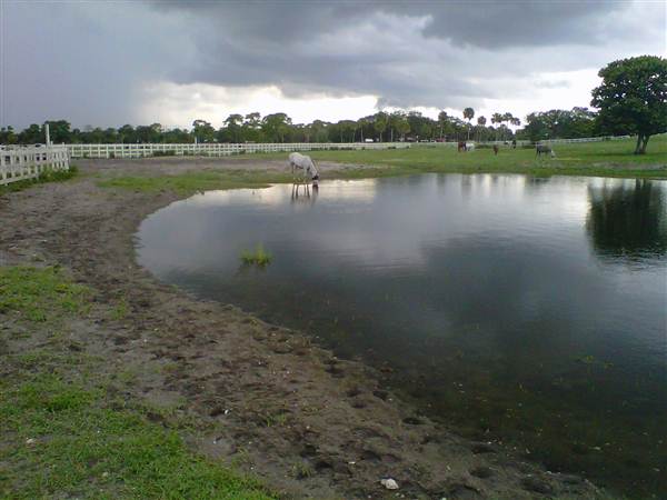 Tradewinds Stables At Tradewinds Park