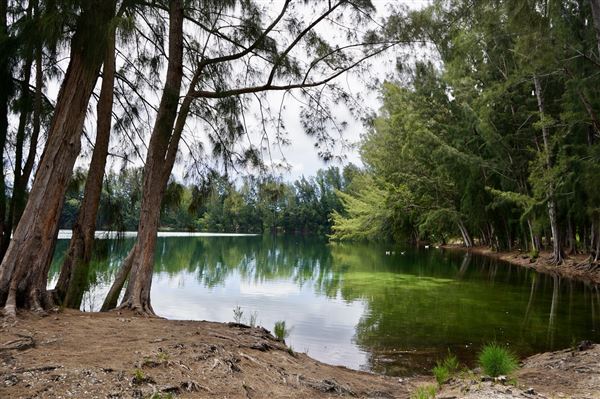 Wolf Lake Park
