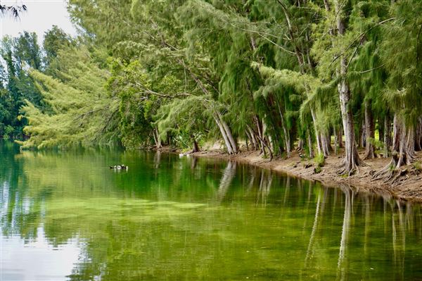 Wolf Lake Park