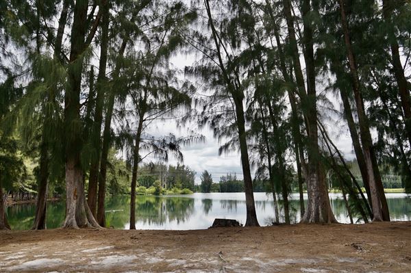 Wolf Lake Park