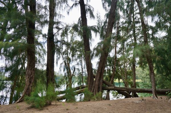 Wolf Lake Park