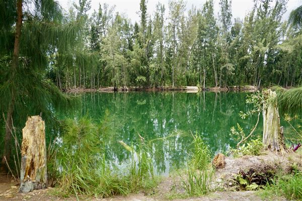 Wolf Lake Park