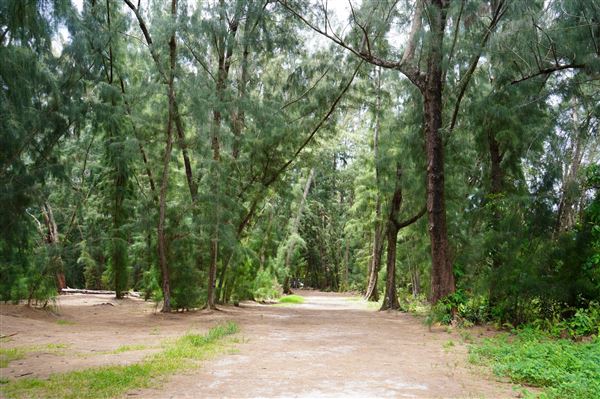 Wolf Lake Park