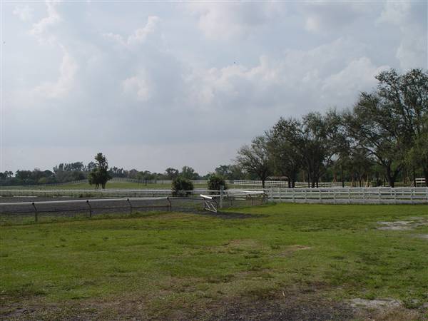 Tradewinds Stables At Tradewinds Park