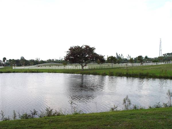 Tradewinds Stables At Tradewinds Park