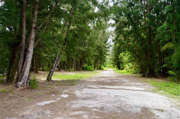Wolf Lake Park