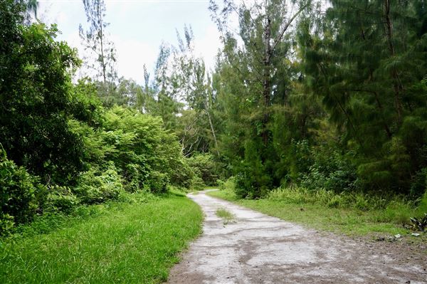 Wolf Lake Park