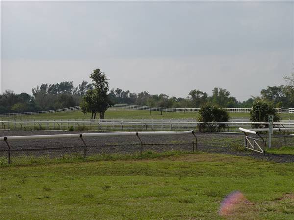 Tradewinds Stables At Tradewinds Park