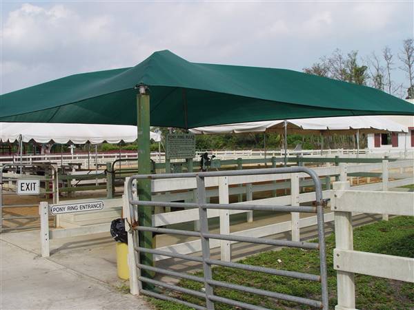 Tradewinds Stables At Tradewinds Park