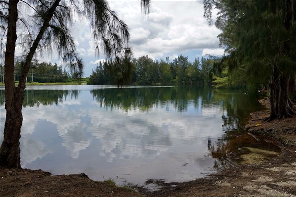 Wolf Lake Park