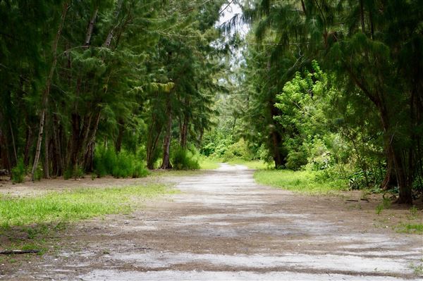 Wolf Lake Park