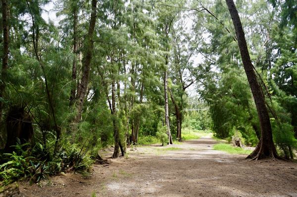 Wolf Lake Park